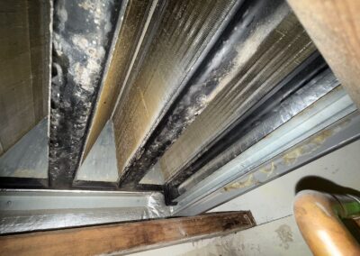 Evaporator coil with light dust during an AC diagnostic in Boynton Beach