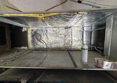 Air handler cabinet re-insulated after a condensate drain overflow in Buena Vida, Wellington