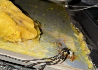 Old wet and deteriorated fiberglass liner in the bottom of an air handler cabinet in West Palm Beach